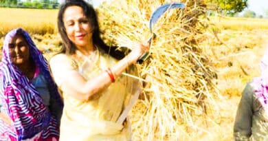 Hema-Malini Mathura: हेमा मालिनी गेहूँ काटती नजर आई ,हुई ट्रोल