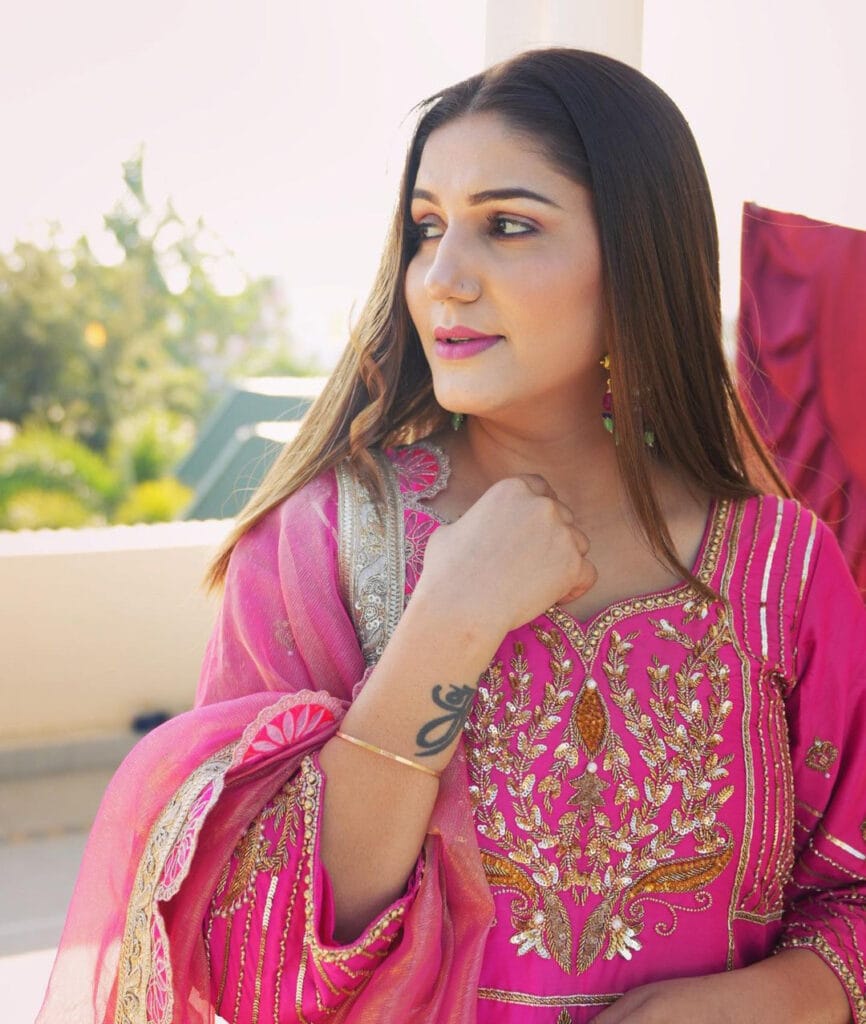 हरिणावीं डांसर सपना चौधरी ने अपने करियर की शुरुआत स्टेज शो से की थी। सपना के सपनों को उस समय नई उड़ान मिली जब उनको बिग बॉस के घर में जगह मिली। बिग बॉस में प्रतियोगी रह चुकी सपना को बॉलीवुड में यहीं से जाने का मौका मिला। इससे पहले सपना हरियाणवीं गानों पर डांस किया करती थी।