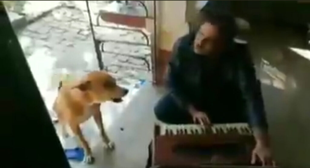 Dog ne Ranu mandal ka Song gaaya