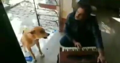 Dog ne Ranu mandal ka Song gaaya
