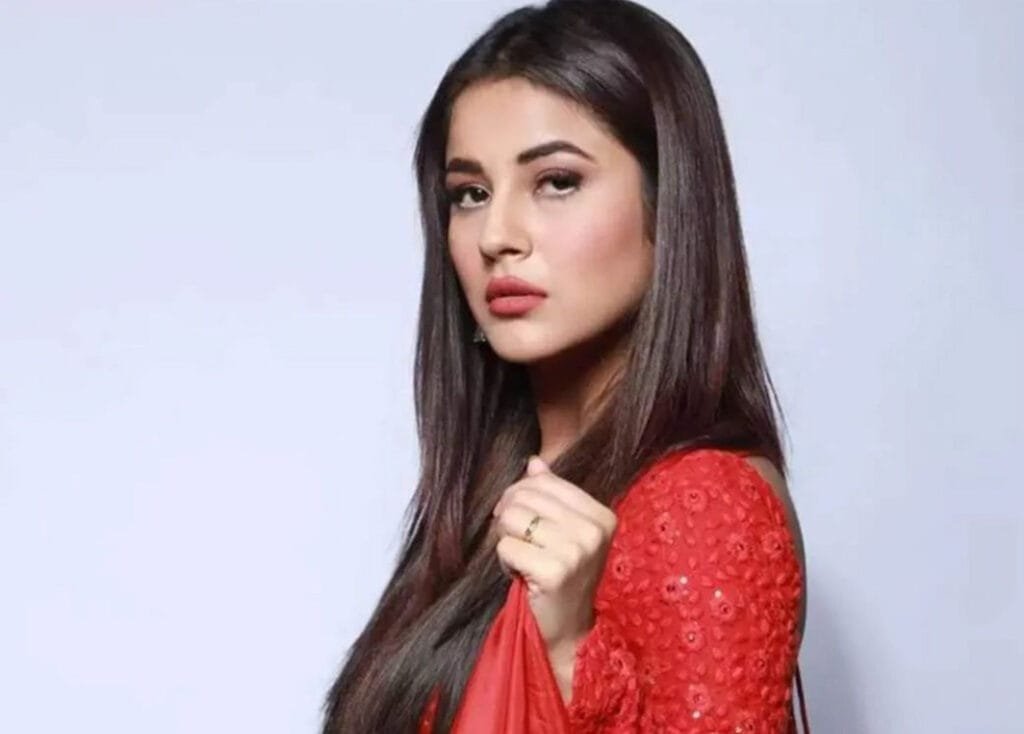 बिग बॉस 13 में सिद्धार्थ शुक्ला ने किया शहनाज गिल पर कमेंट तो अभिनेत्री ने कॉलर पकड़कर कर दी धुनाई। सिद्धार्थ की पिटाई का ये वीडियो सोशल मीडिया पर खूब वायरल हो रहा है।