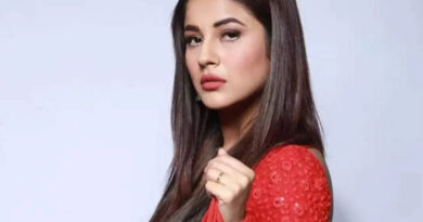 बिग बॉस 13 में सिद्धार्थ शुक्ला ने किया शहनाज गिल पर कमेंट तो अभिनेत्री ने कॉलर पकड़कर कर दी धुनाई। सिद्धार्थ की पिटाई का ये वीडियो सोशल मीडिया पर खूब वायरल हो रहा है।