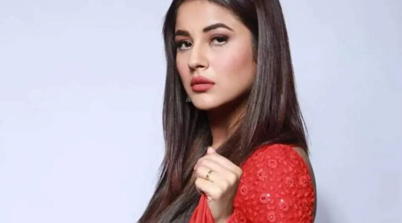 बिग बॉस 13 में सिद्धार्थ शुक्ला ने किया शहनाज गिल पर कमेंट तो अभिनेत्री ने कॉलर पकड़कर कर दी धुनाई। सिद्धार्थ की पिटाई का ये वीडियो सोशल मीडिया पर खूब वायरल हो रहा है।