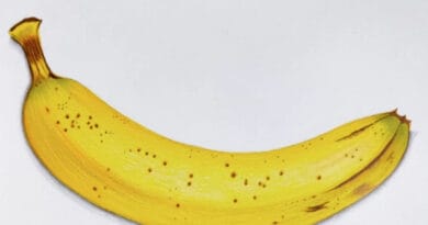 Banana Peels: केले के छिलकों से घर पर ही बनाएं ये सौंदर्य प्रसाधन