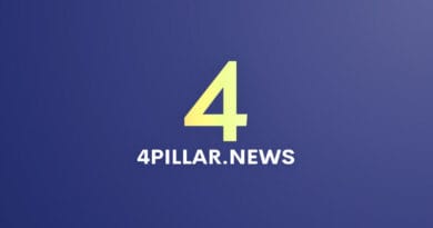Web Sphere Portal Developer