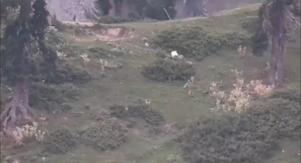 इंडियन आर्मी ने शुक्रवार के दिन पाकिस्तान द्वारा सीजफायर का उल्लंघन करने पर जवाबी करवाई की। सेना ने पाकिस्तान अधिकृत कश्मीर में एलओसी पार पांच आतंकी लॉन्च पैड ध्वस्त किए।