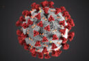 भारत में पिछले 24 घंटों में कोरोना वायरस के नए मामलों ने अब तक के सभी रिकॉर्ड ब्रेक कर दिए हैं। देश में कोरोना वायरस के कारण पिछले एक दिन में 740 मौतें हुई हैं। 