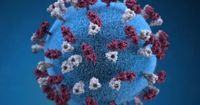 coronavirus संक्रमण के साल 2021 के सबसे ज्यादा मामले