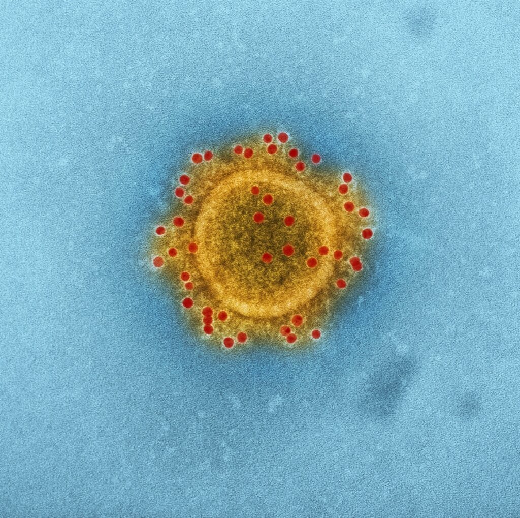 Coronavirus का देश में तेजी से हो रहा है विस्तार, रिपोर्ट