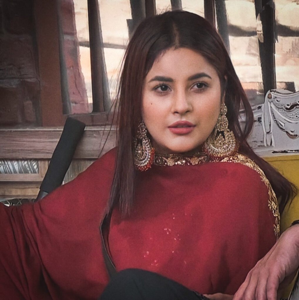 पंजाब की कैटरीना कैफ के नाम से मशहूर शहनाज गिल का एक पंजाबी सॉन्ग यूट्यूब पर खूब धमाल मचा रहा है। शहनाज गिल का यह यूट्यूब वीडियो फैंस द्वारा बहुत पसंद किया जा रहा है। जवाई सॉन्ग में शहनाज गिल का पंजाबी लुक बहुत जबरदस्त लग रहा है।