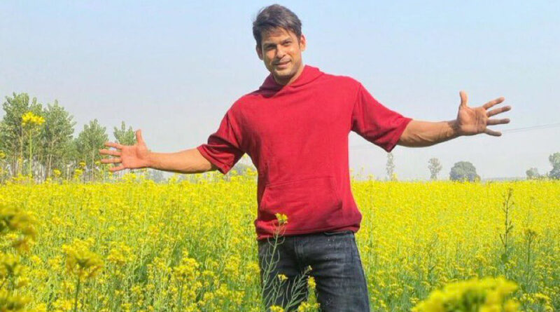 शहनाज़ गिल का नया गाना "तू यहीं है" आज रिलीज हो चूका है। इस गाने  के माध्यम से शहनाज ने सिद्धार्थ शुक्ला को श्रद्धांजलि दी है।