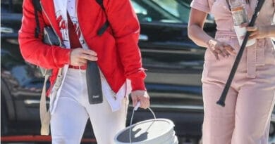 Softball Game गेम में Nick Jonas को चीयर करते नजर आई Priyanka