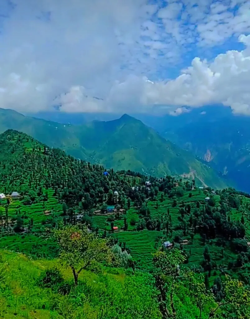 Target Killing के चलते जम्मू कश्मीर से पलायन करने लगे हिंदू