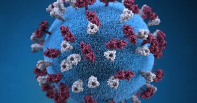Coronavirus Graph:भारत में फिर बढ़ने लगा कोरोना का ग्राफ