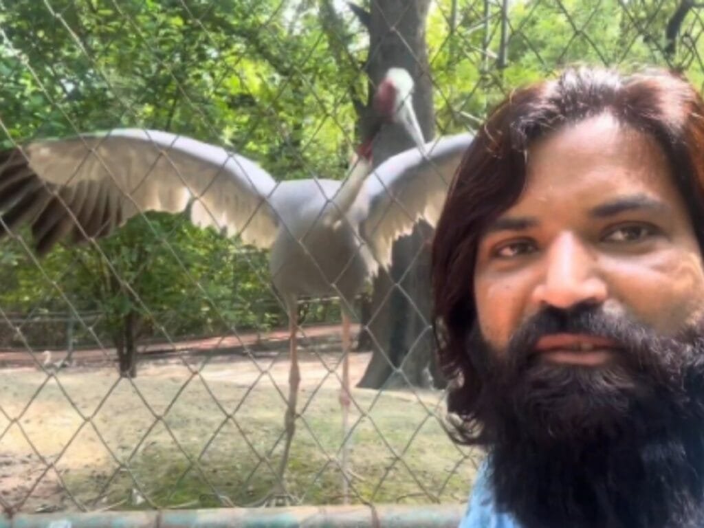 Arif Stork: सारस से जुदाई बर्दाश्त नहीं कर सका आरिफ,चुपके से जू पहुंचा