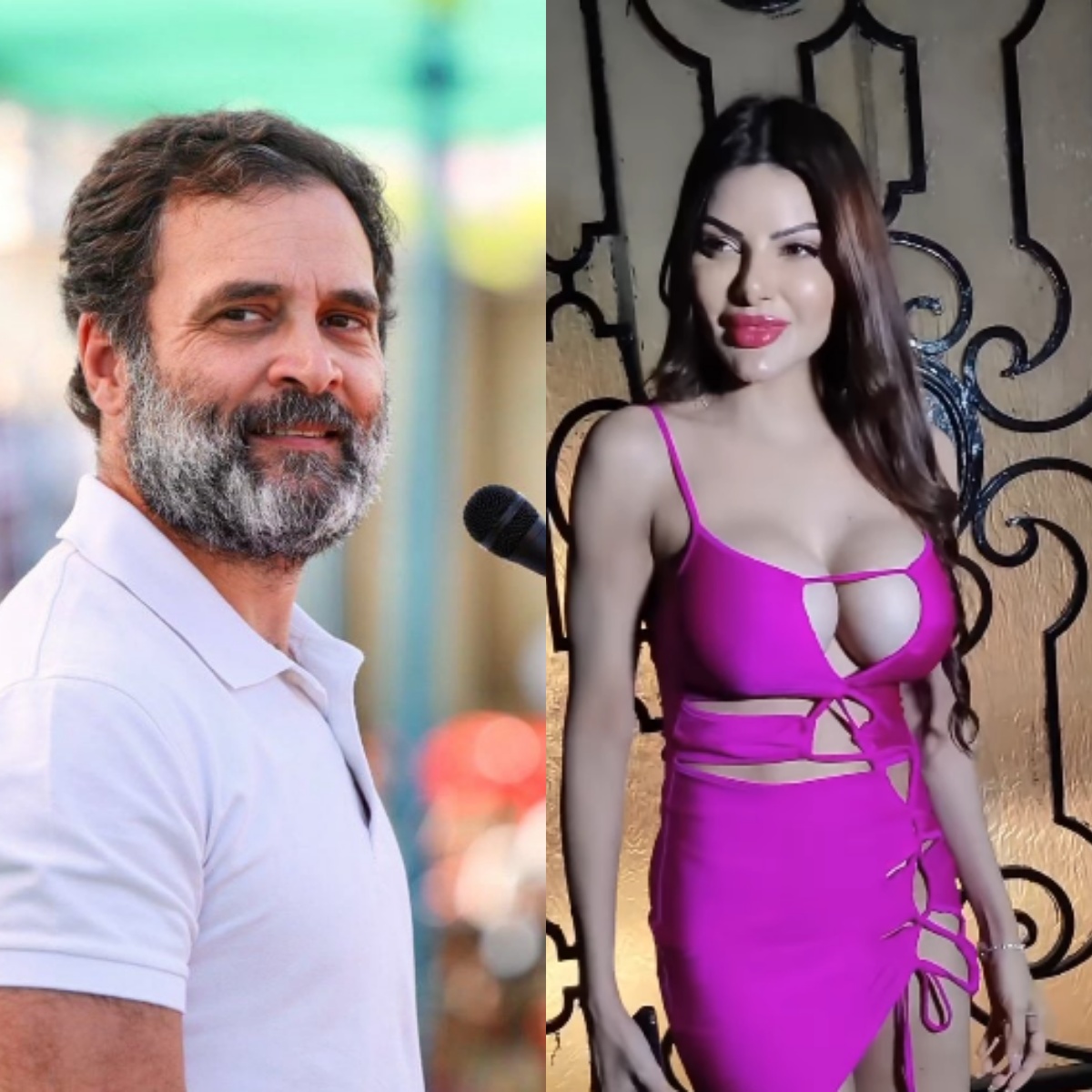 Sherlyn Chopra राहुल गांधी संग शादी के लिए तैयार हैं