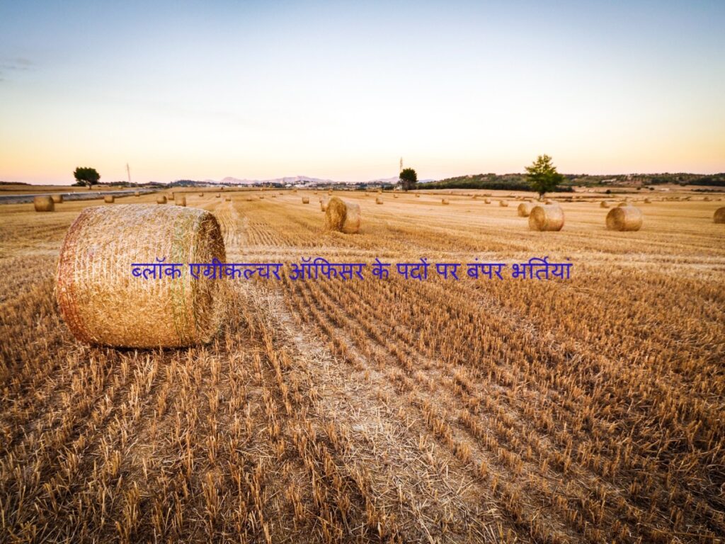 Block Agriculture Officer के पदों पर बंपर भर्तियां