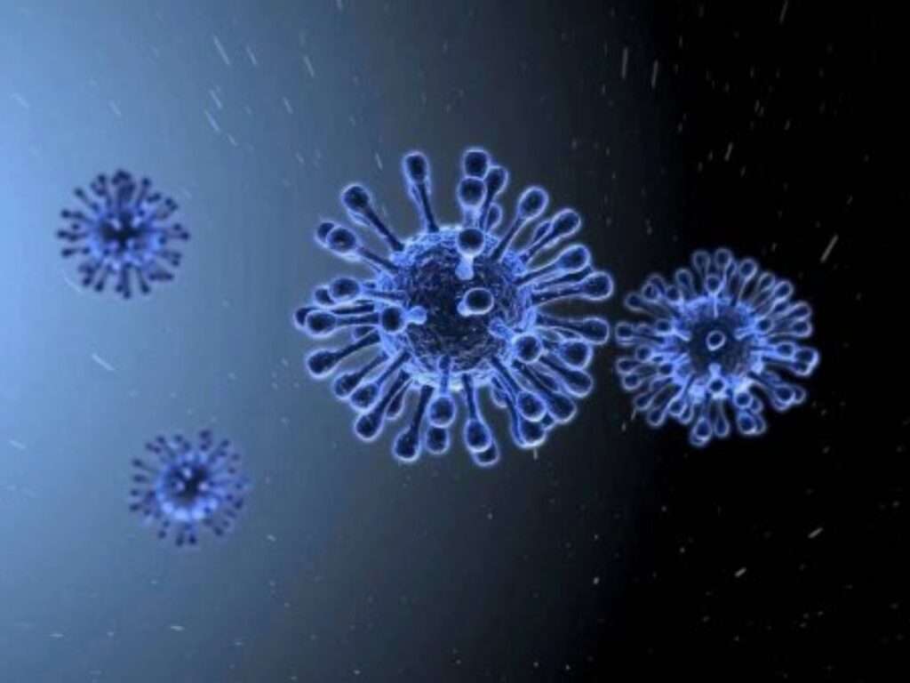 H5N1: 52 फीसदी की हो जाती है मौत