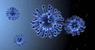 H5N1: 52 फीसदी की हो जाती है मौत