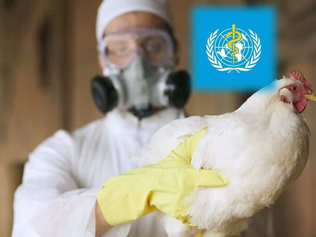 H5N2 Bird Flu से पहली मानव मौत के बाद वैज्ञानिकों की बढ़ी चिंता, जानिए लक्षण