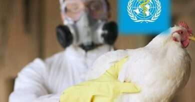 H5N2 Bird Flu से पहली मानव मौत के बाद वैज्ञानिकों की बढ़ी चिंता, जानिए लक्षण