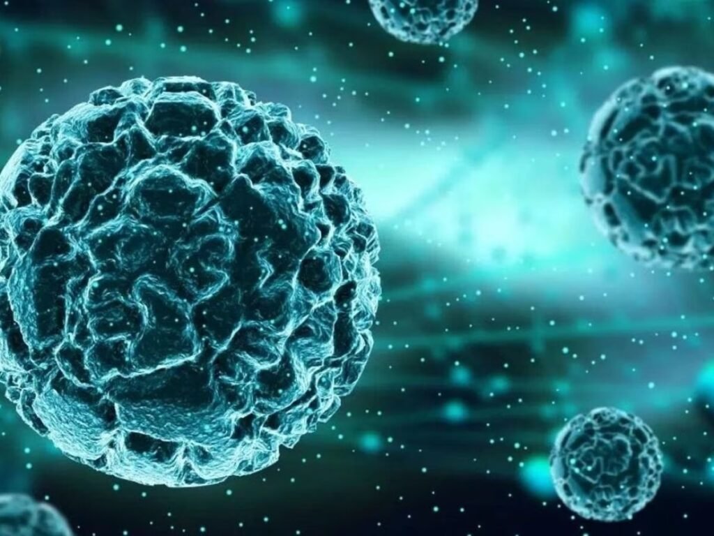Chandipura virus: बढ़ रहे हैं चांदीपुरा वायरस के मामले,16 की मौत