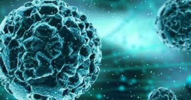 Chandipura virus: बढ़ रहे हैं चांदीपुरा वायरस के मामले,16 की मौत