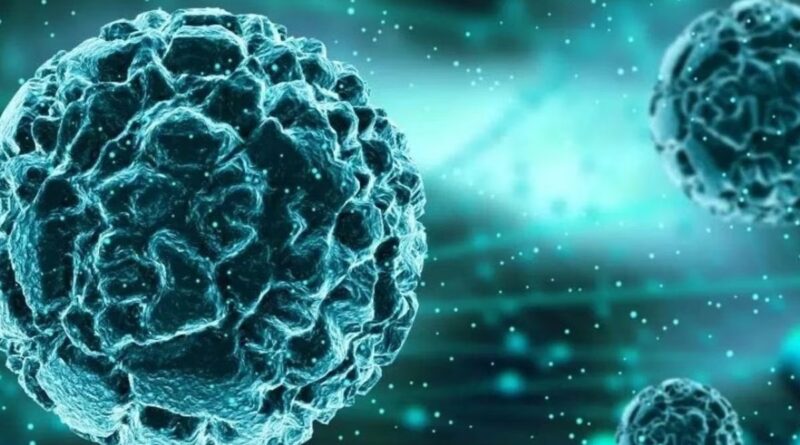 Chandipura virus: बढ़ रहे हैं चांदीपुरा वायरस के मामले,16 की मौत