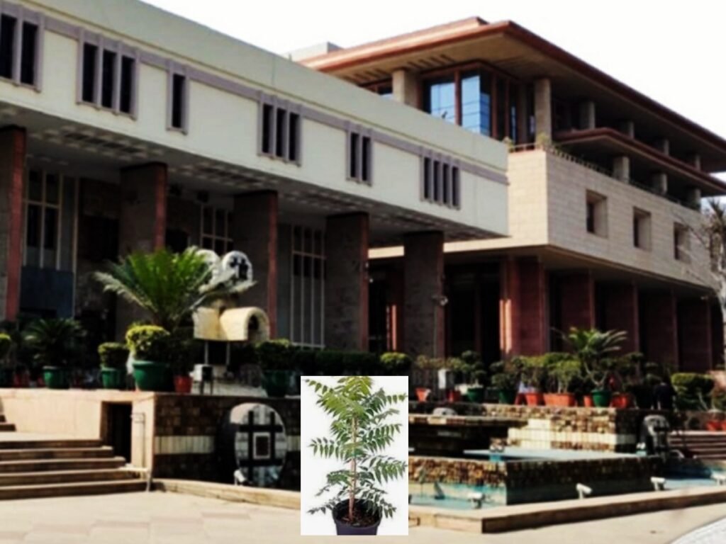 Delhi High Court ने महिला से छेड़छाड़ करने वाले तीन आरोपियों को दी सजा