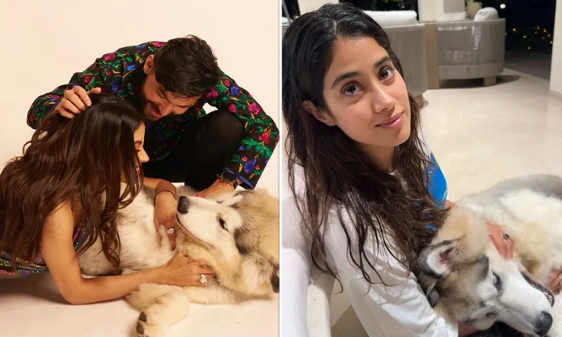 Janhvi Kapoor ने बॉयफ्रेंड शिखर पहाड़िया संग शेयर की तस्वीरें