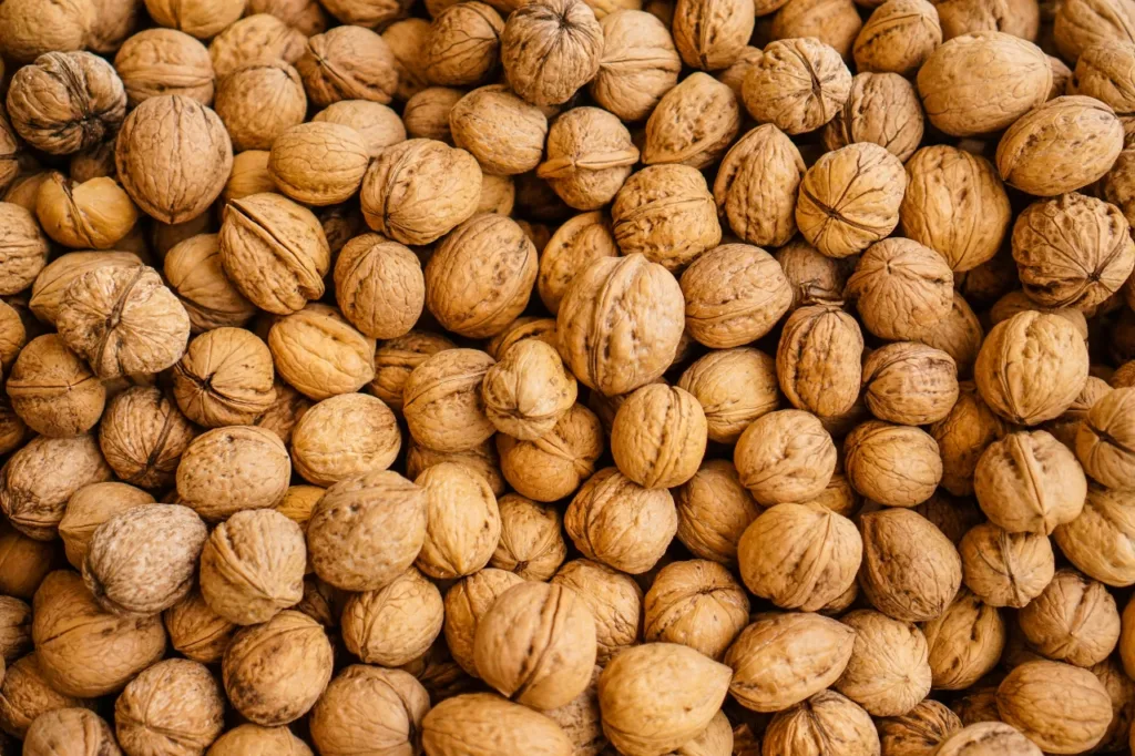 Walnut: BP, Cholesterol समेत कई बीमारियों का रामबाण इलाज