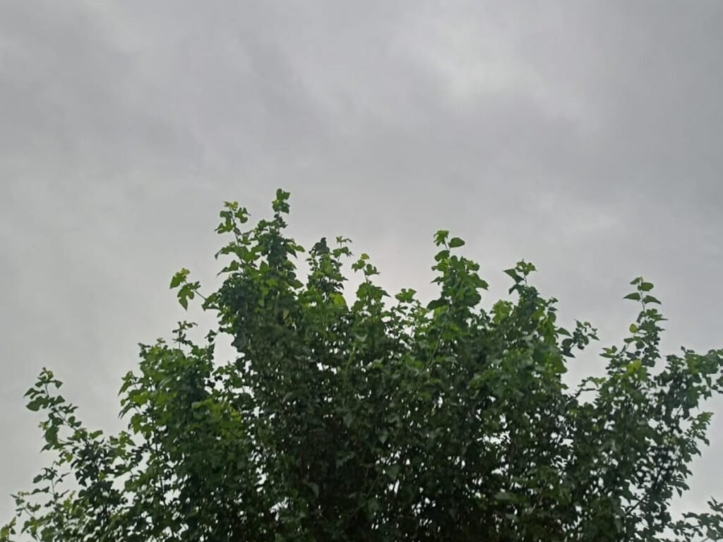 Weather forecast today, Aaj Ka Mausam: आज कहां भारी बारिश होगी