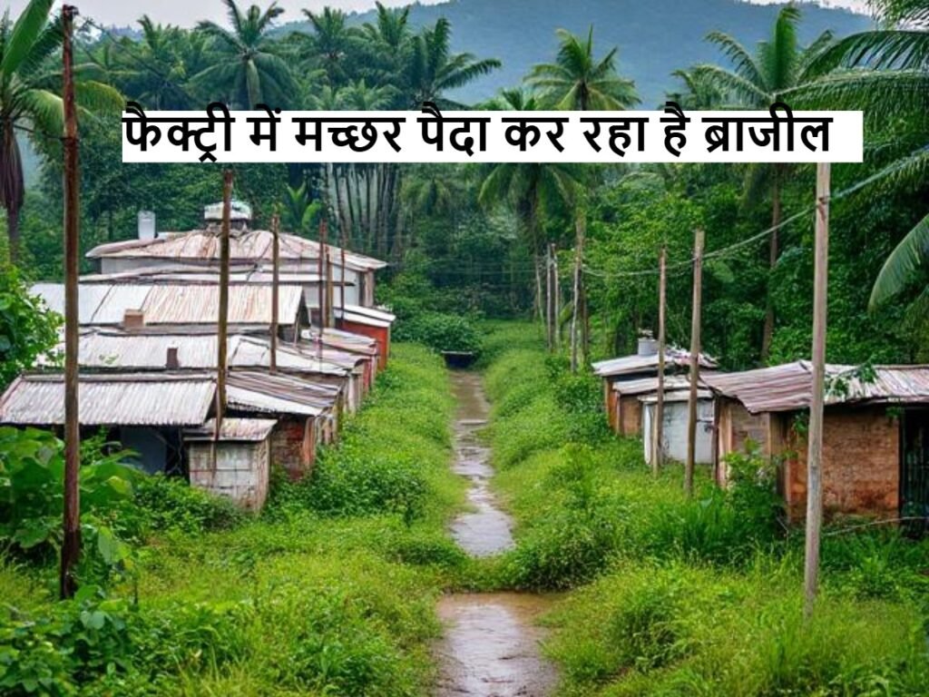 Mosquito factory: ब्राजील मच्छरों की फैक्ट्री लगाकर लड़ रहा है अनोखी जंग