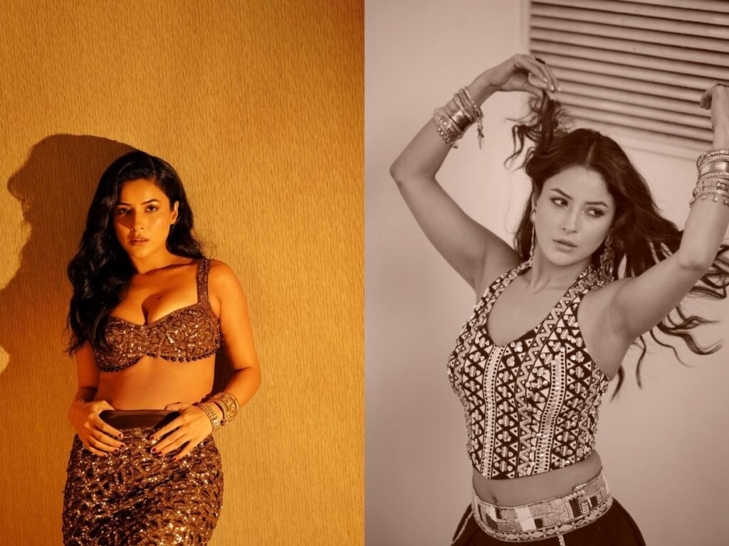 Shehnaaz Gill story