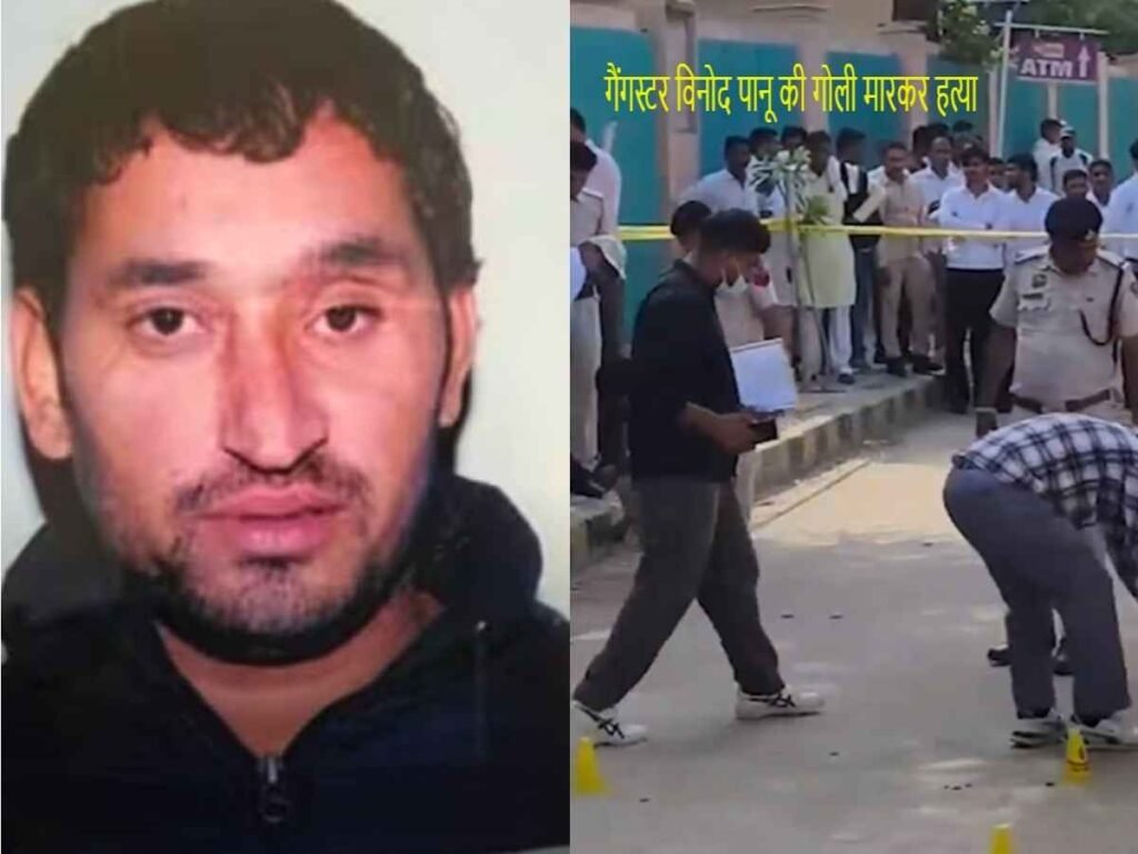 Gangster Vinod Panu Shot Dead